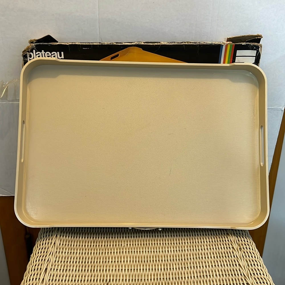 Ingrid  Vintage d and color Large Rectangle Serve Tray for Party, Picnic, or BBQ